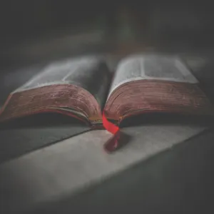 Books WhatsApp Groups