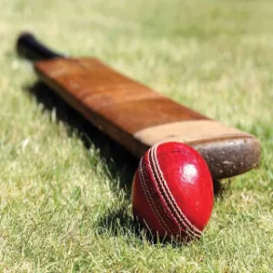 Cricket WhatsApp Groups