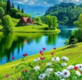Nature Vibes