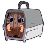 Mona Monkey WhatsApp Sticker #27