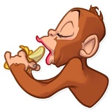 Mona Monkey WhatsApp Sticker #3