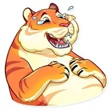 Amur Tiger
