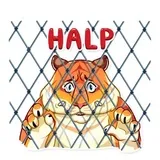 Sticker 11