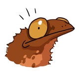 Ammy the Anurognathus WhatsApp Sticker #10