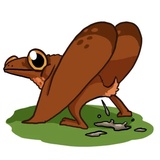 Ammy the Anurognathus WhatsApp Sticker #12