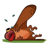 Ammy the Anurognathus WhatsApp Sticker #25