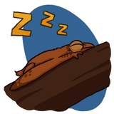 Ammy the Anurognathus WhatsApp Sticker #27