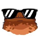 Ammy the Anurognathus WhatsApp Sticker #9