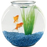 Aquariums WhatsApp Sticker #11