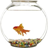 Aquariums WhatsApp Sticker #12