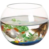 Aquariums WhatsApp Sticker #14