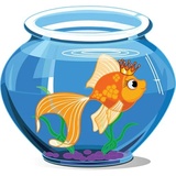 Aquariums WhatsApp Sticker #21