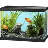 Aquariums WhatsApp Sticker #30