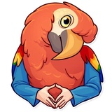 Birds With Arms WhatsApp Sticker #11