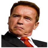 Arnold Schwarzenegger WhatsApp Sticker #13
