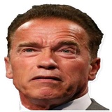 Arnold Schwarzenegger WhatsApp Sticker #14