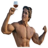 Arnold Schwarzenegger WhatsApp Sticker #16