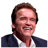 Arnold Schwarzenegger WhatsApp Sticker #4
