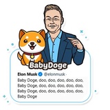 BABYDOGE Coin WhatsApp Sticker #14