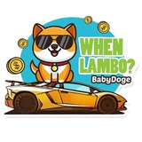 BABYDOGE Coin WhatsApp Sticker #18