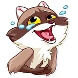 Bandit Raccoon