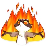 Bandit Raccoon WhatsApp Sticker #11