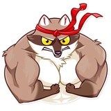 Bandit Raccoon WhatsApp Sticker #18