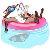 Bandit Raccoon WhatsApp Sticker #19