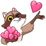 Bandit Raccoon WhatsApp Sticker #2