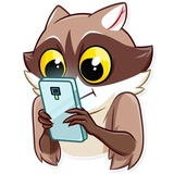 Bandit Raccoon WhatsApp Sticker #22