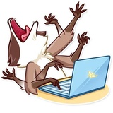 Bandit Raccoon WhatsApp Sticker #27