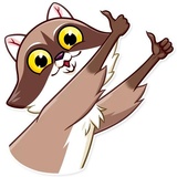 Bandit Raccoon WhatsApp Sticker #3