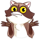 Bandit Raccoon WhatsApp Sticker #7