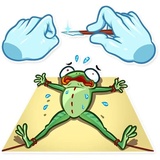 Banker Frog WhatsApp Sticker #21