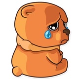 Honey Bear WhatsApp Sticker #19