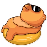 Honey Bear WhatsApp Sticker #6