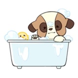 Bernard WhatsApp Sticker #12