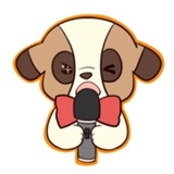 Bernard WhatsApp Sticker #14
