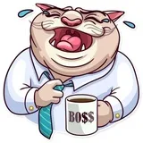 Big Boss Cat
