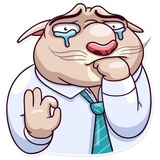 Big Boss Cat WhatsApp Sticker #20