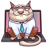 Big Boss Cat WhatsApp Sticker #28