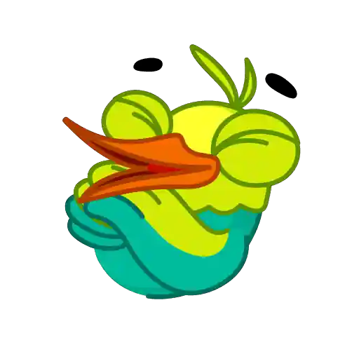 Bird of Paradise