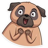 Boone WhatsApp Sticker #10