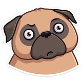 Boone WhatsApp Sticker #13