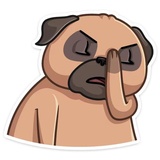 Boone WhatsApp Sticker #16