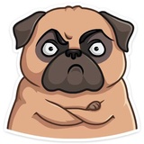 Boone WhatsApp Sticker #19