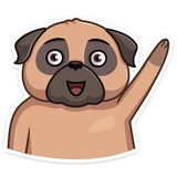 Boone WhatsApp Sticker #2