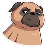 Boone WhatsApp Sticker #22