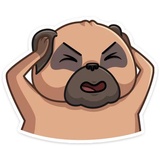 Boone WhatsApp Sticker #24