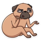 Boone WhatsApp Sticker #27